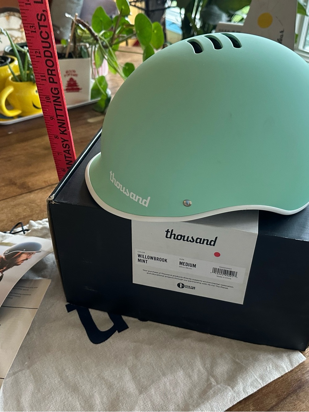 Retro Mint Matte Helmet by Thousand NIB